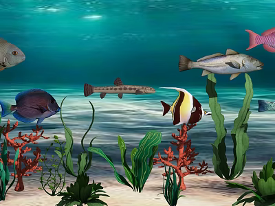 Various Species of Aquatic Animals Swimming Near Coral Reef And Seaweed In Ocean 3d model
