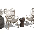 Casual Leisure Sofa Set With Rattan Chairs Vase And Small Side Table