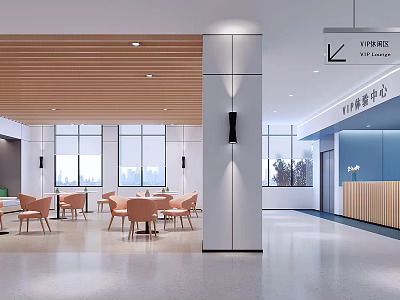 Modern Hospital Outpatient Clinic Waiting Area Interior With VIP Zone 3d model