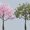 Two Arbor Trees Showcasing Pink Flowers And Green Leaves Side By Side
