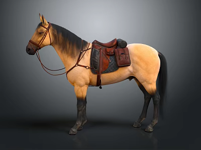 Equestrian Equipment Saddle and Bridle with Horse Riding Gear Setup 3d model