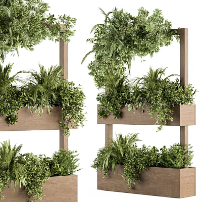 Decorative Multi tiered Wooden Shelf With Potted Bonsai And Various Green Plant Species 3d model