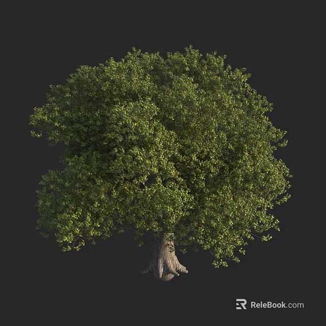 Healthy Green Shrub with Lush Foliage and Sturdy Root Base in Natural Setting 3d model 