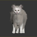 Modern Cat Kitten Flower Cat Domestic Cat 3d model