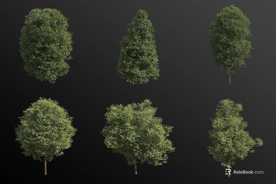 Arbor Collection Featuring Various Green Foliage Shapes On Black Background 3d model