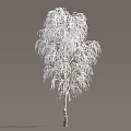 Snow Covered Arbor With Icy Hanging Branches And White Brown Trunk