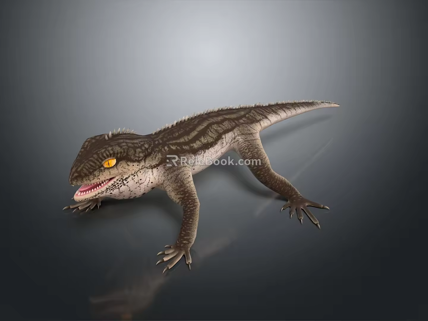 Lizard Anime Lizard Chameleon Cartoon Lizard Reptile Cold Blooded Animal Reptile Class 3d model