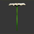 White Daisy Flower With Yellow Center And Green Stem On Gray Background