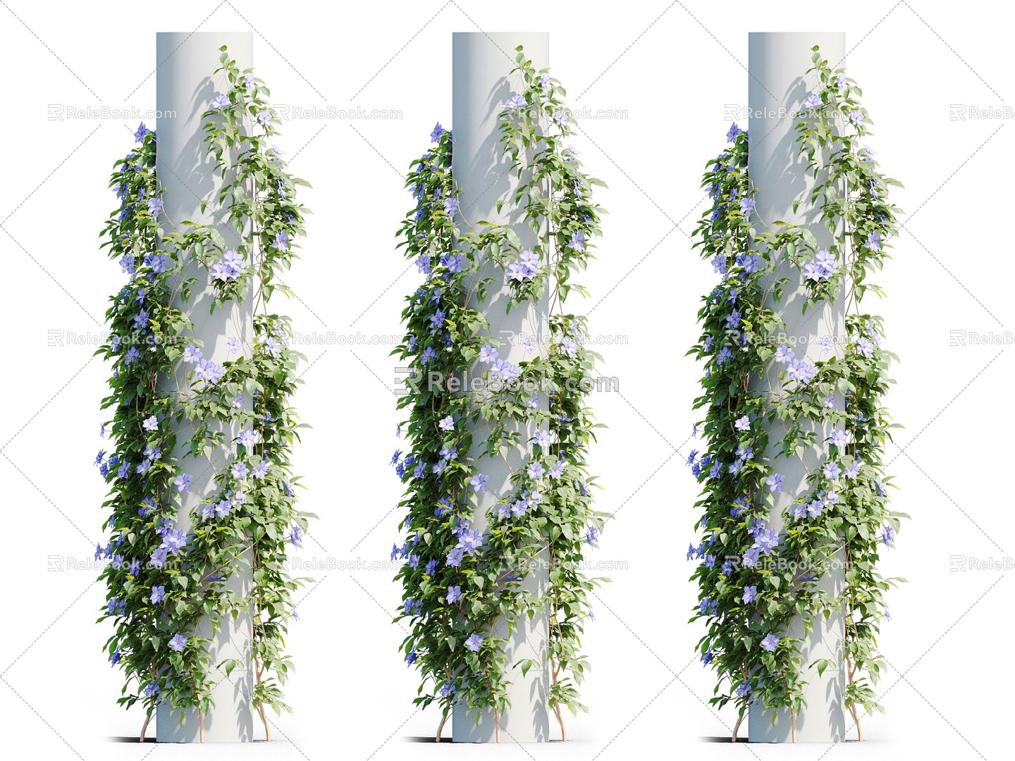 Modern Vine Vine Plant 3d model