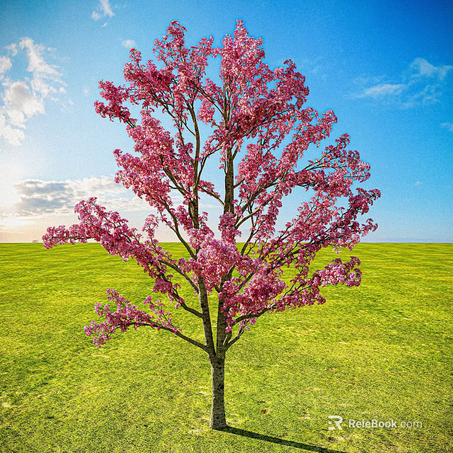 Beautiful Pink Blossom Tree In Green Meadow With Blue Sky And Sunlight 3d model 