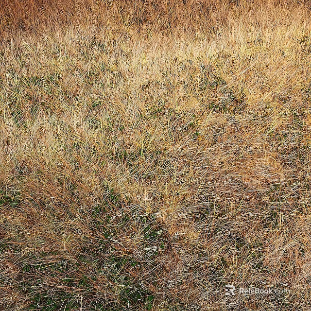 Decorative Garden Grass Area With Dry Yellow Grass And Green Accents 3d model 