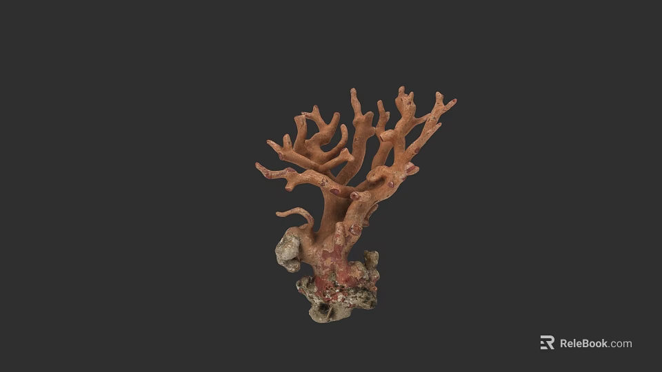Vibrant Red Branched Coral Structure Supporting Aquatic Animal Ecosystem 3d model