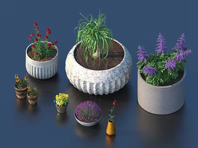 Various Potted Plants With Colorful Flowers In Stylish Ceramic Pots 3d model