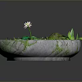 Natural Decorative Stone Basin With Green Lotus Leaves Pink Lotus Flower Stones And Green Plants