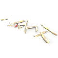 Scattered Plant Stems And Leaves With Light Brown Yellow And Red Accents On White Background