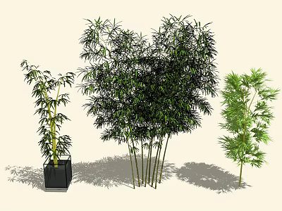 Different Types of Bamboo Plants With Green Leaves and Various Sizes 3d model