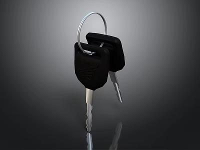 Black Covered Keys With Silver Ring And Metallic Blades On Reflective Surface 3d model
