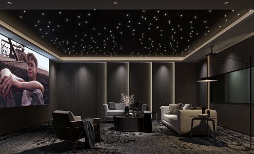 modern video room 3d model