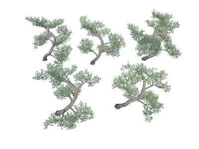 Realistic Tree Collection Featuring Various Branch Shapes And Lush Green Foliage 3d model