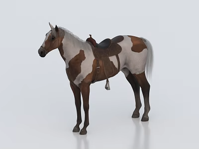 Vibrant Reptile Lizard With Scaly Skin In Natural Desert Habitat 3d model