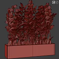 Lush Garden Decorative Greenery With Vibrant Leafy Plants In Rectangular Black Planter