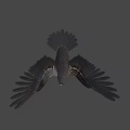 Game Movie Character Eagle with Spreading Black Wings Yellow Beak and Talons Standing Pose