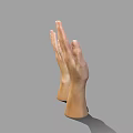 Realistic Human Hands Anatomical 3D Rendering With Natural Pose And Skin Texture 3d model