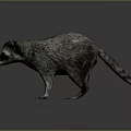Raccoon With Gray Fur Black Facial Mask And Standing Pose On Gray Background