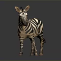Realistic Zebra With Black And White Stripes In Standing Pose On Gray Background