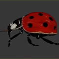 Red Ladybug With Black Spots And Shiny Back On Dark Background 3d model