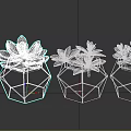 Three Green Succulent Plants in Hexagonal Concrete Pots