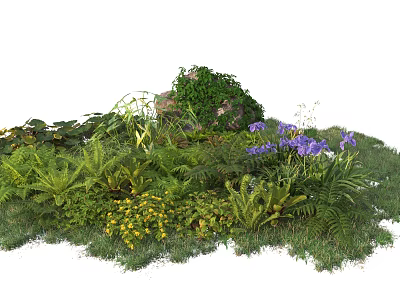 Lush Green Ferns And Purple Flowers In Natural Garden With Yellow Blossoms And Mossy Rocks 3d model