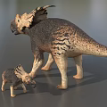 Realistic Triceratops Reptile Models Adult And Juvenile With Textured Skin