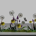 Beautiful Garden Flowers Dandelion Yellow Flowers And Purple Flowers With Green Grass And White Butterfly