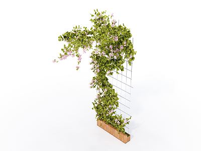 Modern Vine Climbing Vine Plant 3d model