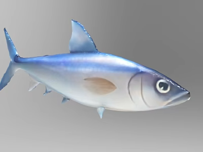 Realistic 3D Model of Blue Silver Fish With Detailed Fins and Eyes 3d model