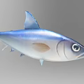 Realistic 3D Model of Blue Silver Fish With Detailed Fins and Eyes