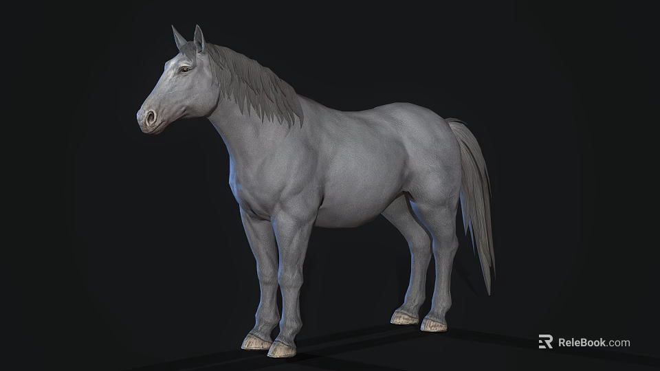 Realistic Detailed Gray Horse 3D Model in Standing Pose on Black Background 3d model