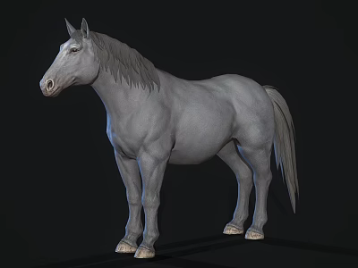 Realistic Detailed Gray Horse 3D Model in Standing Pose on Black Background 3d model