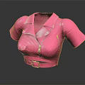 Pink Leather Short Sleeve Cropped Top With Collar Zipper And Belt