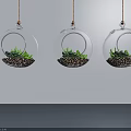 Three Transparent Hanging Glass Planters with Green Succulents for Indoor Decoration