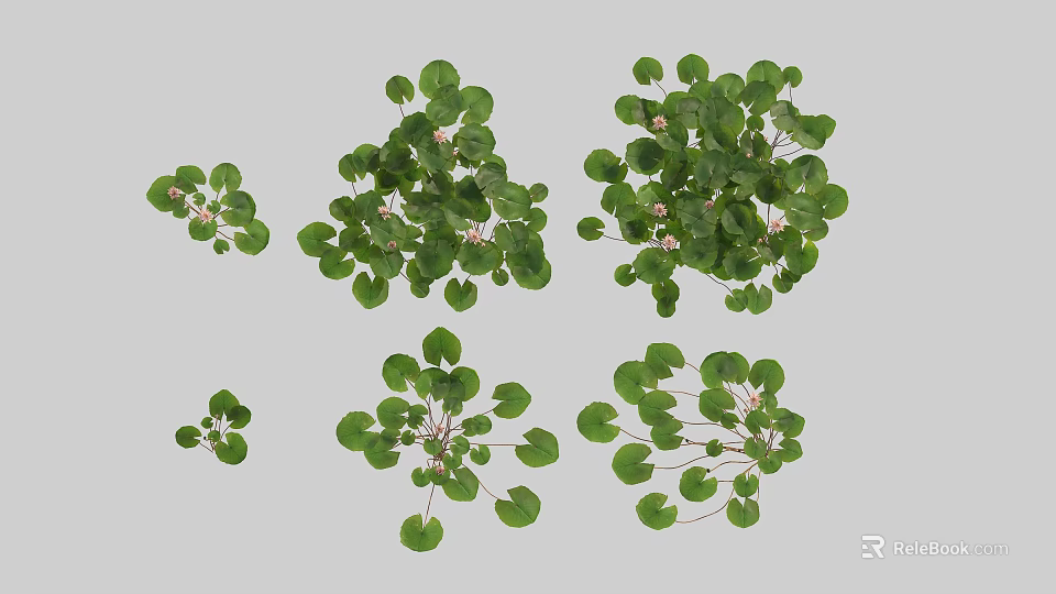 Decorative Vase Flowers With Green Leaves And White Small Blooms In Various Forms 3d model 
