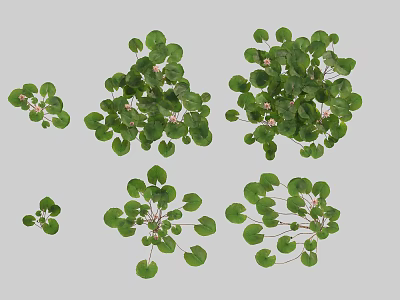 Decorative Vase Flowers With Green Leaves And White Small Blooms In Various Forms 3d model