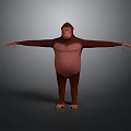Monkey Standing Pose With Arms Outstretched 3D Model Digital Rendering