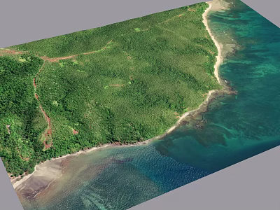 Aerial View Of Coastal Garden Landscape With Green Vegetation And Beach 3d model