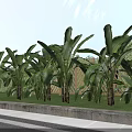 Municipal Road With Lush Green Plants Lawn Sidewalk And Landscaping