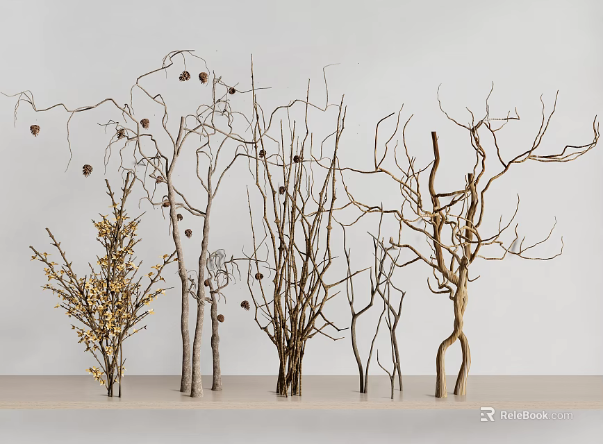 Decorative Branches With Various Shapes Pinecones And Golden Accents On Light Shelf 3d model 