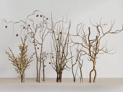 Decorative Branches With Various Shapes Pinecones And Golden Accents On Light Shelf 3d model
