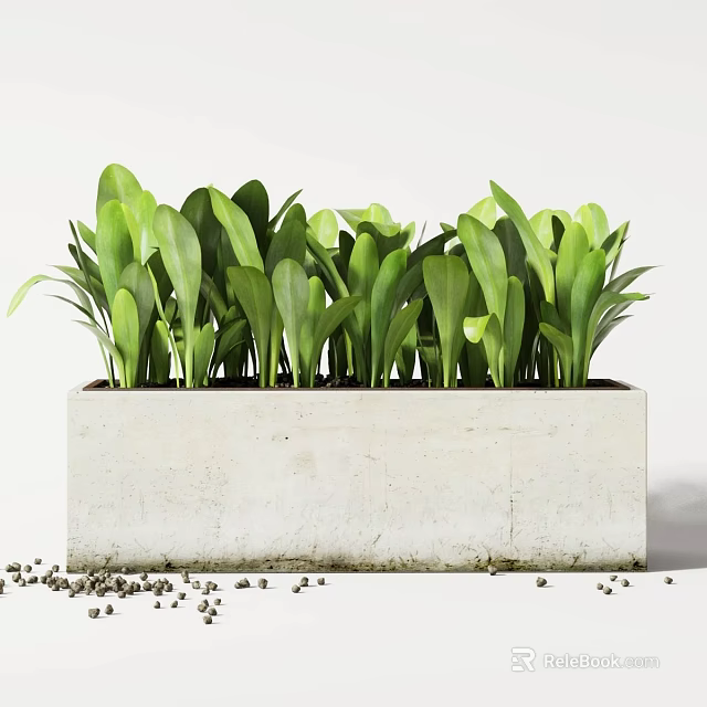 Lush Green Potted Plants In Rectangular Concrete Planter With Small Pebbles 3d model 