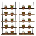 Charming Garden Decor Featuring Multi Tiered Shelves And Colorful Potted Plants